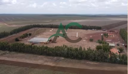 VENDO FAZENDA em Loreto - MARANHÃO com 6.100 hectares