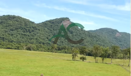 VENDO FAZENDA de PECUÁRIA no Vale do Ribeira - SÀO PAULO com 127 alqueires