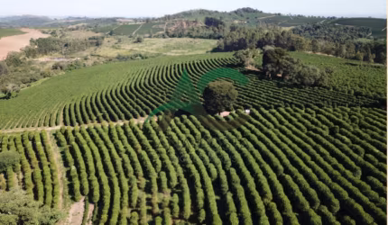 VENDO FAZENDA DE CAFÉ em Guaxupé - MINAS GERAIS com 168 alqueires