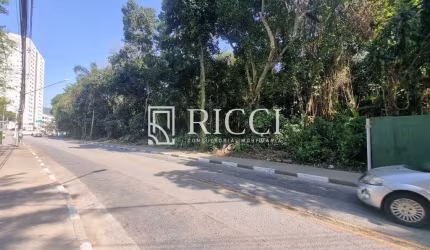TERRENO A VENDA NO MORRO NOVA CINTRA EM SANTOS