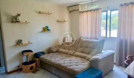 Apartamento 2 dormitórios, com suíte no Estreito.