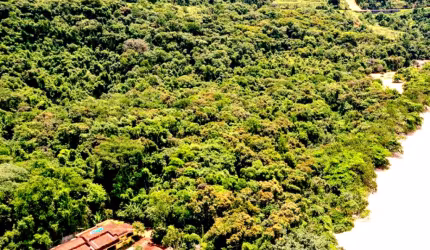 Última área da praia do Félix - Ubatuba