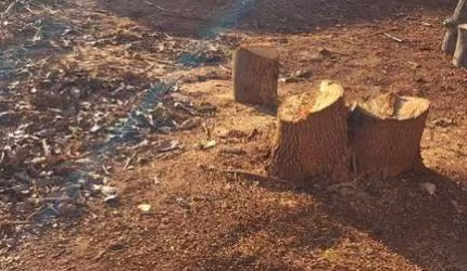 Terreno  para venda  em Sorocaba no bairro Vila Nova Sorocaba