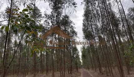 Fazenda para Venda em Botucatu, Área Rural de Botucatu
