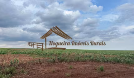 Fazenda para Venda em Avaré, Área Rural de Avaré