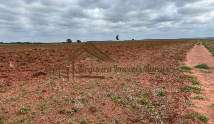 Fazenda para Venda em Avaré, Área Rural de Avaré