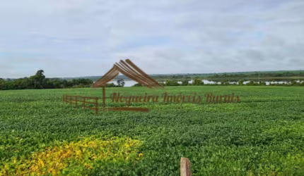 Fazenda para Venda em Araguaína, Área Rural de Araguaína