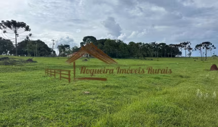 Sítio para Venda em Avaré, Área Rural de Avaré