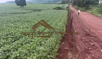 Sítio para Venda em Avaré, Área Rural de Avaré