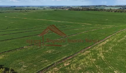 Fazenda para Venda em Avaré, Área Rural de Avaré
