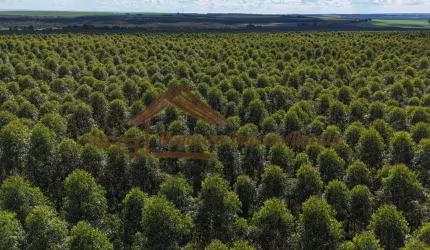 Fazenda para Venda em Avaré, Área Rural de Avaré