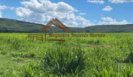 Fazenda para Venda em Quirinópolis, Área rural