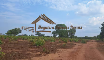 Fazenda para Venda em Cuiabá, Bela Vista