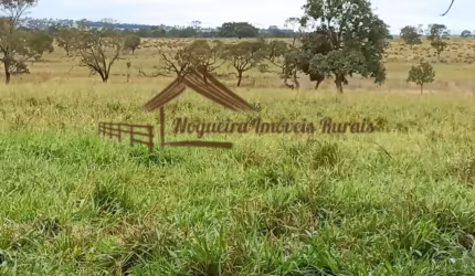 Fazenda para Venda em Cassilândia, Área rural
