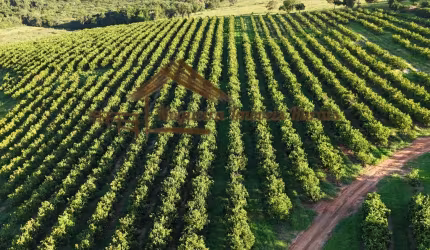 Fazenda para Venda em Ubirajara, Área rural
