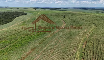 Fazenda para Venda em Avaré, Área Rural de Avaré