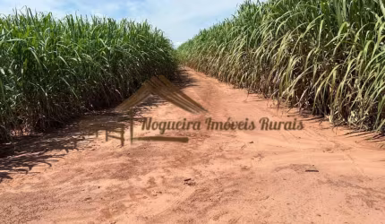 Fazenda para Venda em Cerqueira César, Área Rural de Cerqueira César