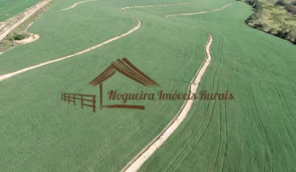 Fazenda para Venda em Porto Feliz, Área Rural de Porto Feliz