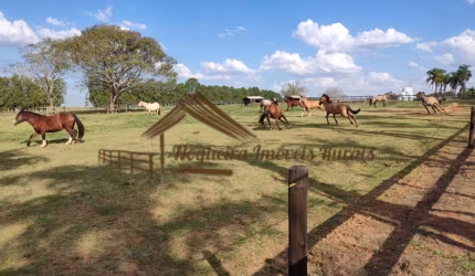 Haras para Venda em Itapetininga, Área Rural de Itapetininga