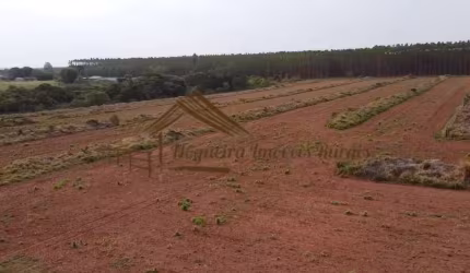 Sítio para Venda em Botucatu, Área Rural de Botucatu
