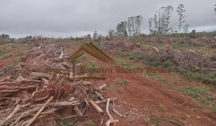 Fazenda para Venda em Pilar do Sul, Área rural