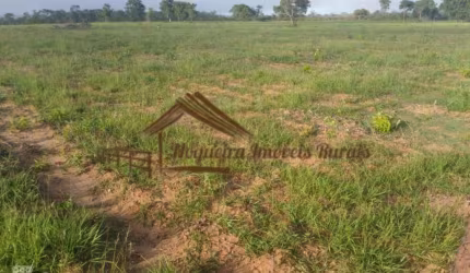 Fazenda para Venda em Pedro Gomes, Área rural