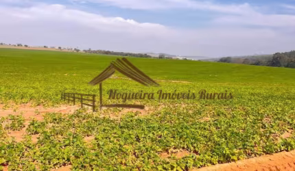 Fazenda para Venda em Avaré, Área Rural de Avaré