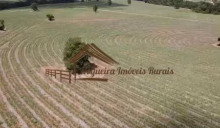 Sítio para Venda em Itapetininga, Área Rural de Itapetininga