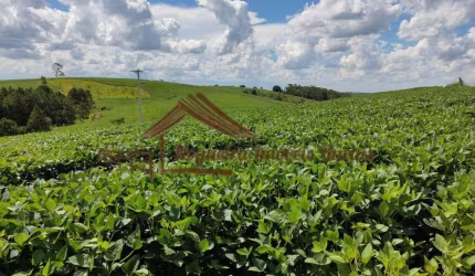Sítio para Venda em São Miguel Arcanjo, Área rural