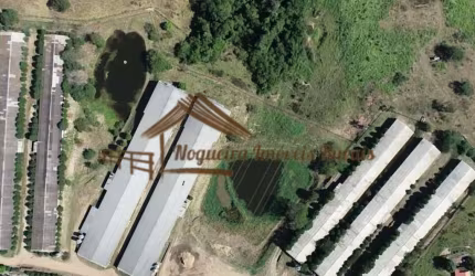 Sítio para Venda em Cesário Lange, Área rural