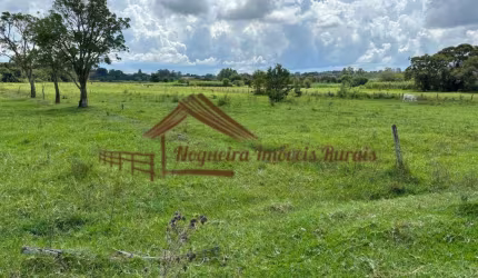 Sítio para Venda em Quadra, Área rural