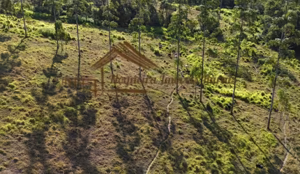 Sítio para Venda em Guareí, Área rural