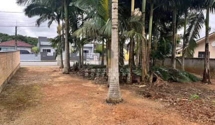 Terreno à venda na R. Guilherme Zastrow, Sossego, Schroeder, 453 m2 por R$ 250.000