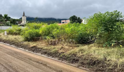 Lote No Centro de Schroeder