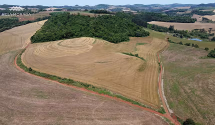AREA RURAL A VENDA NA CIDADE DE PATO BRANCO - LINHA RIO CAÇADORZINHO