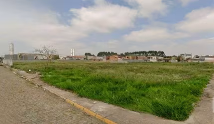 Terreno à venda, 5000 m² por R$ 3.500.000 - Jundiapeba - Mogi das Cruzes/SP