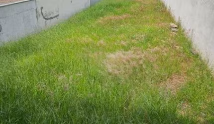 Terreno à venda, 400 m² por R$ 380.000 - Vila Oliveira - Mogi das Cruzes/SP