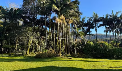 Sitio na Nova Veneza