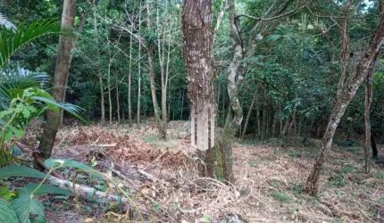 Terreno à venda, 3416 m² - Cigarras - São Sebastião/SP