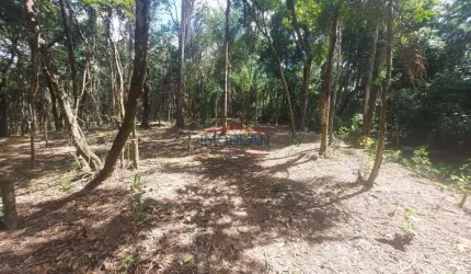 Terreno à venda, 62000 m² por R$ 1.590.000,00 - Portão - Atibaia/SP