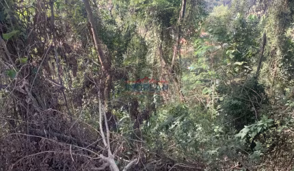 Terreno à venda no Loteamento Vale das Flores