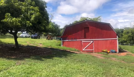 Haras em Atibaia - Um lugar de magia junto a natureza onde você poderá desfrutar