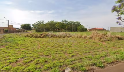 Terreno Padrão em Bady Bassitt