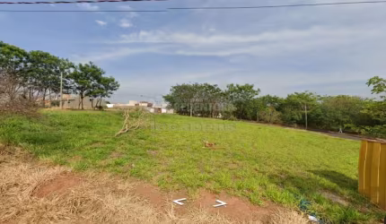 Borboleta 3 lote de 230m²