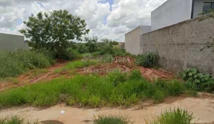 Terreno Padrão em São José do Rio Preto