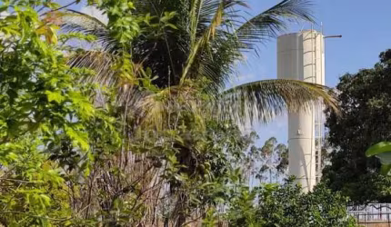 Sítio a 2 km da cidade de Tanabi, com 2.5 alqueires (60.500m²), com casa, curral, tanque de peixe, poço artesiano