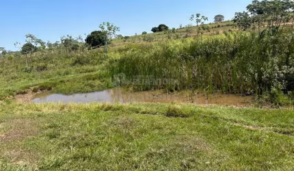 Sitio  à Venda - Santa Fé do Sul