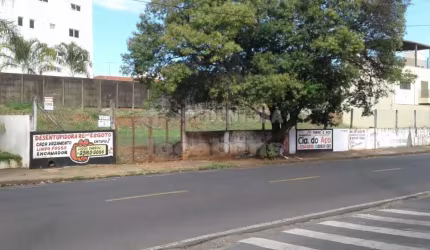 Vila Maceno - Terreno com 812m², com testada acima de 30 metros, fácil acesso ao centro