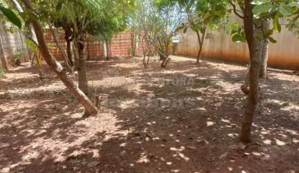 Residencial Palestra terreno plano murado