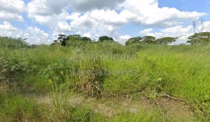 Excelente terreno de 205m² em Rio Preto